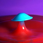 Чудеса из воды Корри Уайт